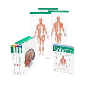 Atlas of Human Anatomy 6th. Netter - Frank H. Netter - eMAG.ro