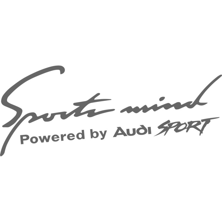 Audi autómatrica, Sports Mind, ezüst, 30 cm x 12 cm