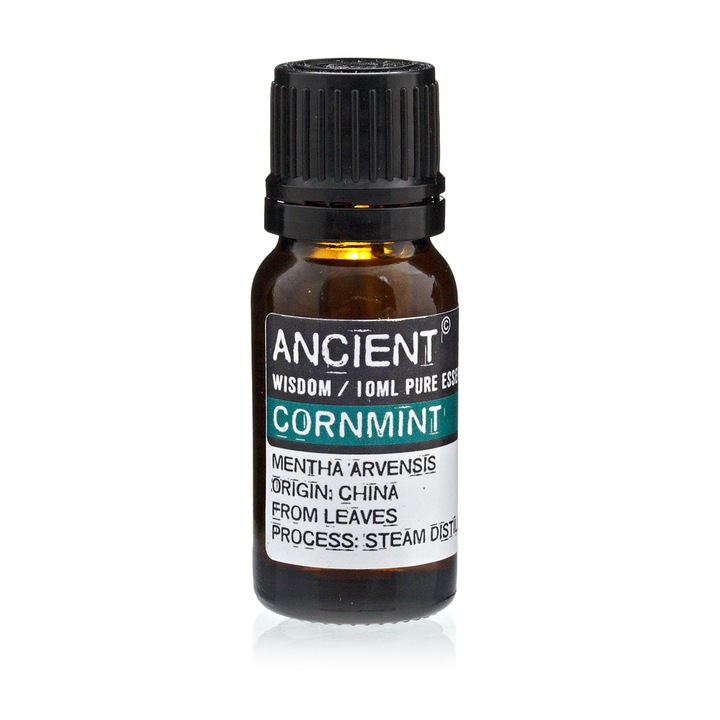 Ulei Esential de Menta de Camp, aromaterapie, puritate 100%, nediluat, 10 ml