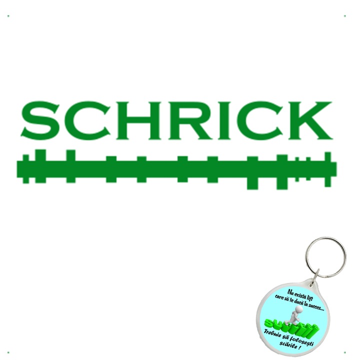Set sticker decorativ auto schrick, autocolant, 21cm, Roz si breloc drumul spre succes