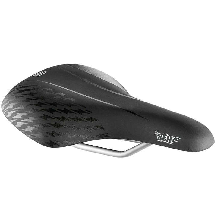 Sa bicicleta, Selle Royal, Negru