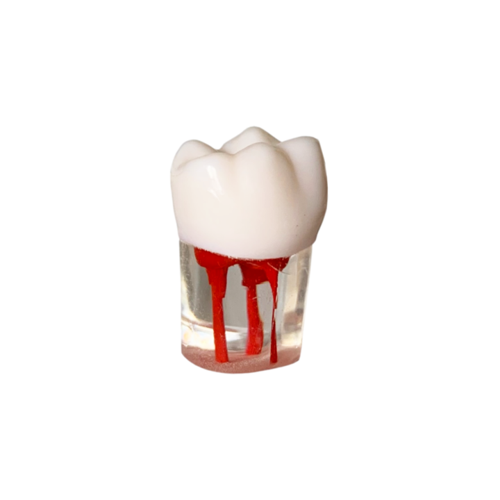 Endobloc 46 - kompatibilis a 8011-es csavarral ellátott, kivehető fogazatú modellel