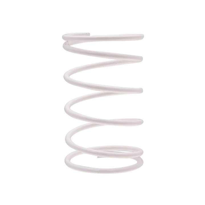 Nyomaték / Kontraszt Rugó Quartz Evolution Polini 18391