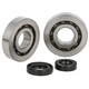 Kit rulmenti cu simeringuri ambielaj scuter, Balco, compatibili cu Peugeot Buxy, Speedfight 52x20x12mm