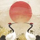 Rulou, Coloray, Macarale La Apus, Gri, 50 cm x 50 cm, 00077883