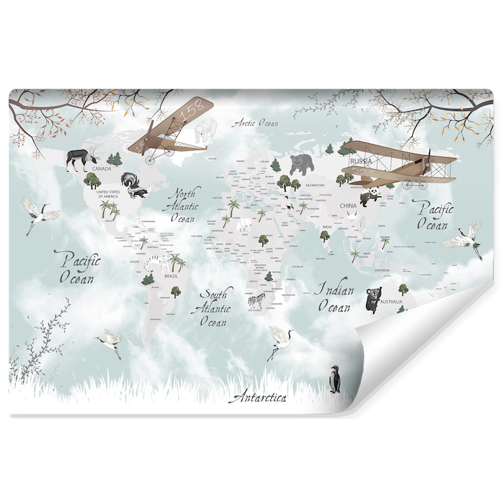 Fototapet avioane, animale, harta de iarna a lumii, geografie, calatorii, continente 90 cm x 60 cm pentru camera unui copil