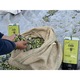 Ulei de masline extra virgin Stalida 3L, 0,3, presare la rece, din familia Damposis recolta 2025/2026 Veria, Grecia, varietate koroneiki, fara pesticide, gust fructat catifelat