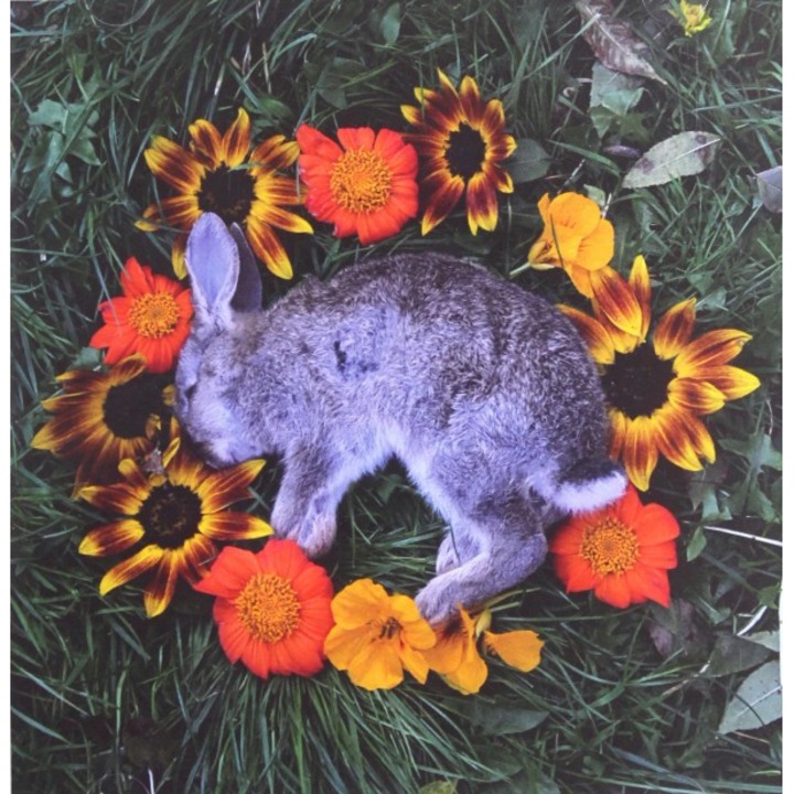 Monolord: Your Time To Shine [CD]