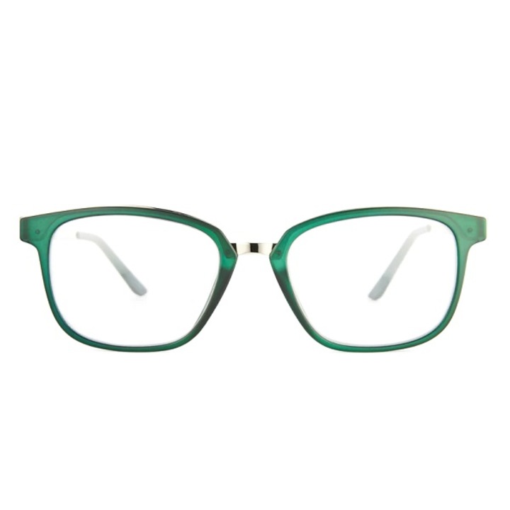 Ochelari de vedere Nordic Vision Alingsas 2,50