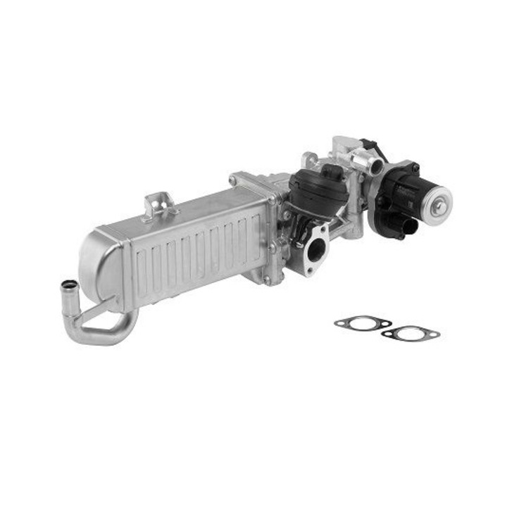 VW, Skoda, Audi, Seat EGR клапан