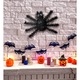 Decor Paianjen Negru 36x22 cm Widmann