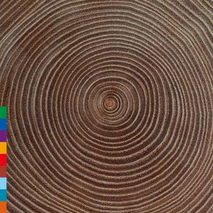 Amjad Ali Khan: Moksha [CD]