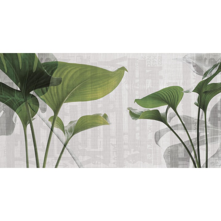 Fototapet fara imbinari H 250 cm x L 400 cm Green Leaf
