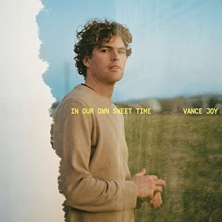 Vance Joy: In Our Own Sweet Time [Winyl]
