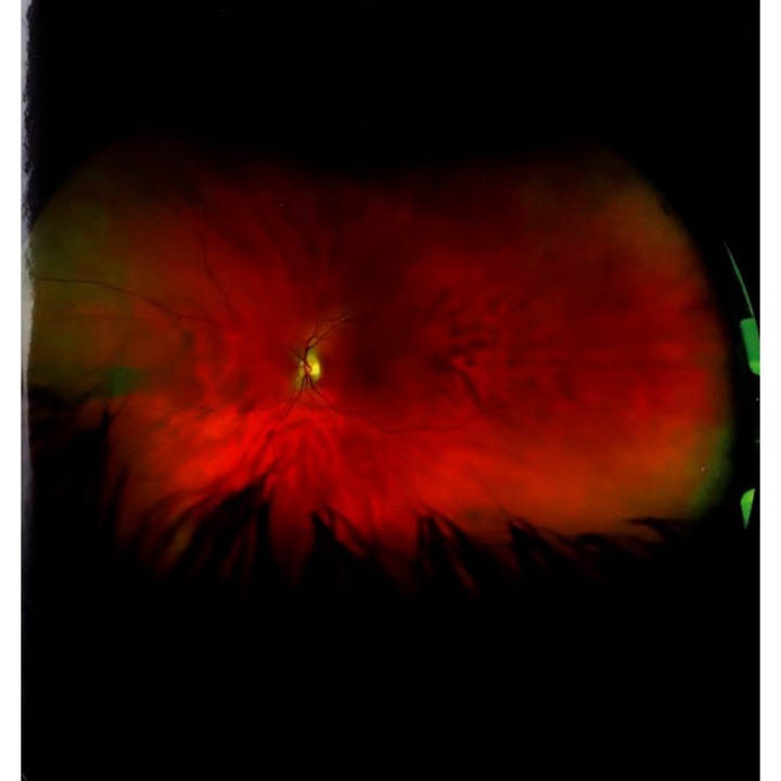 Greg Puciato: Mirrorcell [CD]