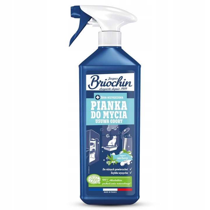 Spuma pentru spalare si eliminarea mirosurilor, Briochin, 750ML