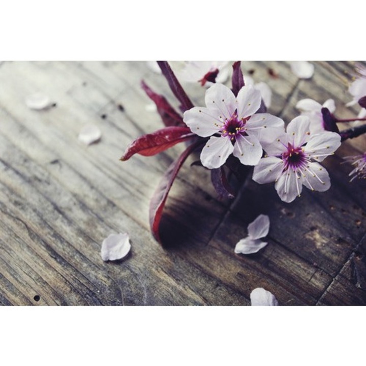 Panou radiant infrarosu tip tablou 13571777 90x70 cm 600 Watt