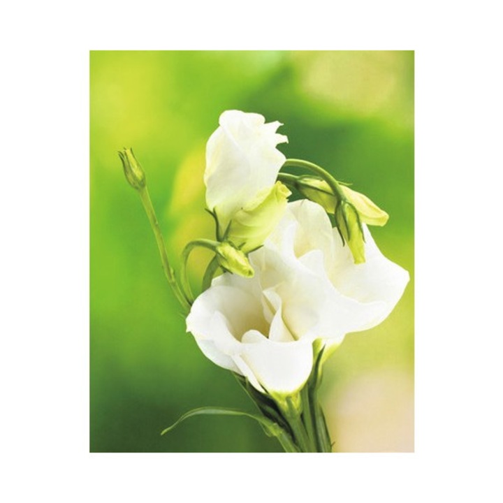 Panou radiant infrarosu tip tablou 13649031 80x60 cm 450 Watt