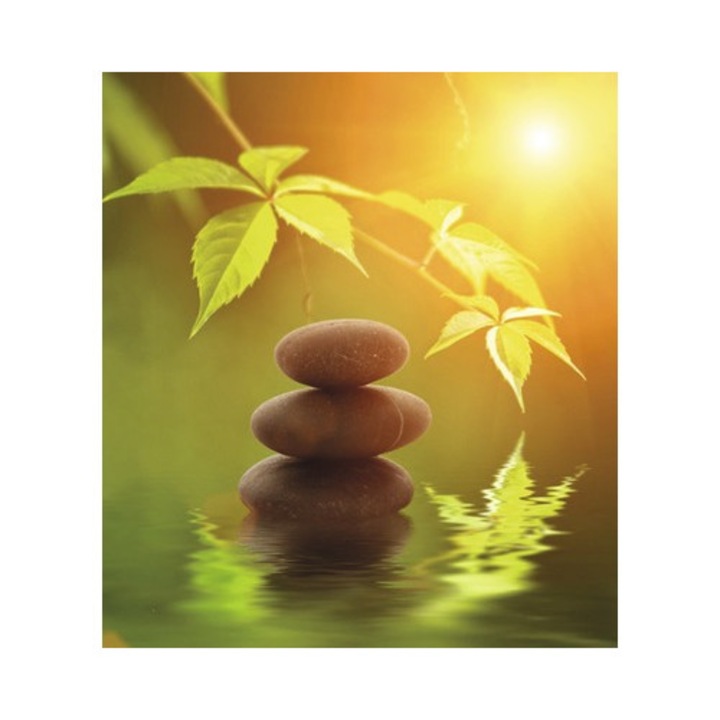 Panou radiant infrarosu tip tablou 5165571 90x70 cm 600 Watt