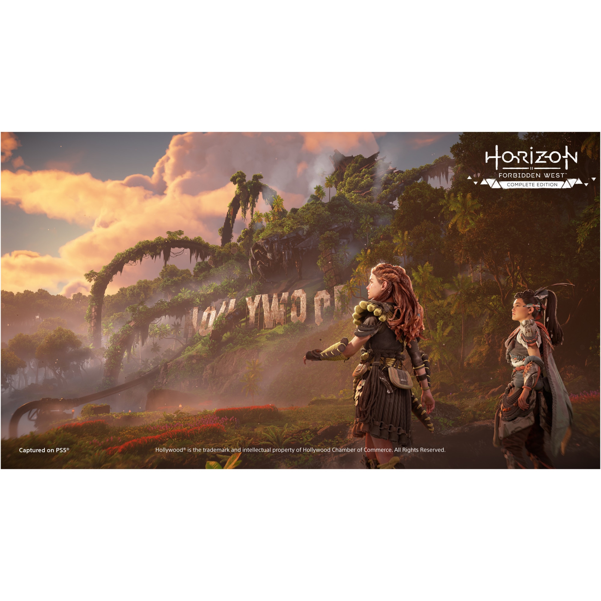 PS5本体+Horizon Forbidden West Amazon.com: PS5 Console- Horizon Forbidden West Bundle : Video Games
