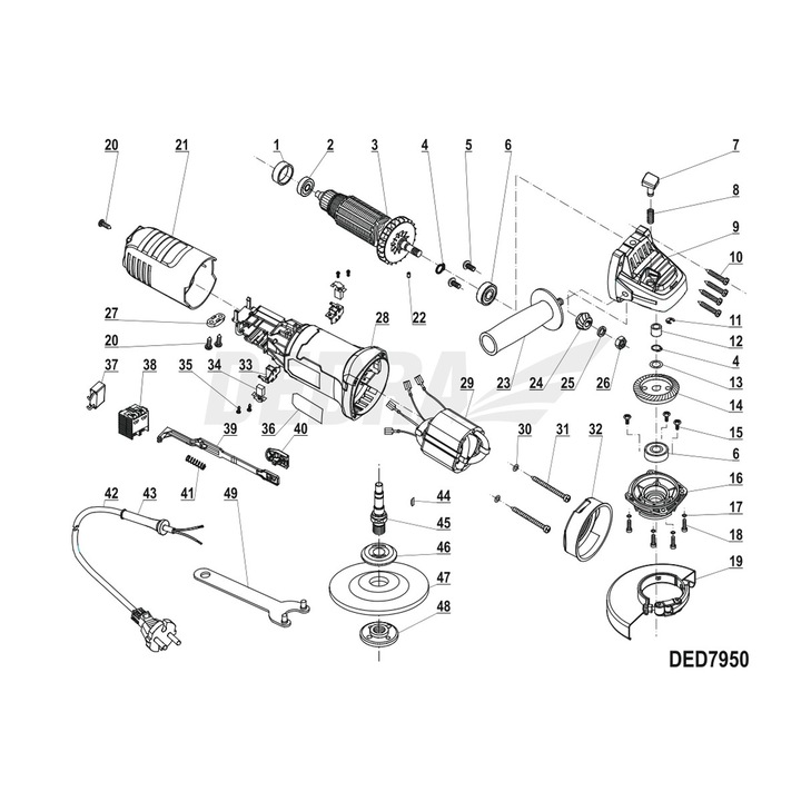Ротор, Дедра, Многоцветен