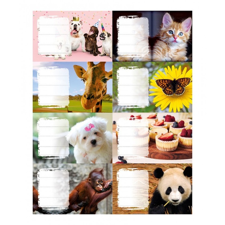 Set 24 etichete pentru caiete, Panta Plast, 8,5x5,5cm, multicolor