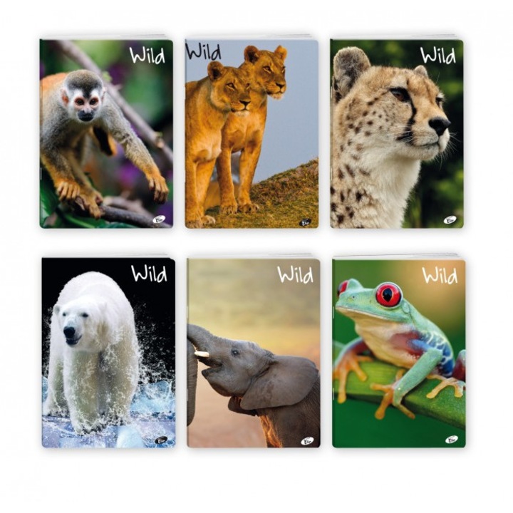 A5-ös füzetek, Elisa, WILD, 20 db-os készlet, 32 oldal, fényes borító, 145x205mm