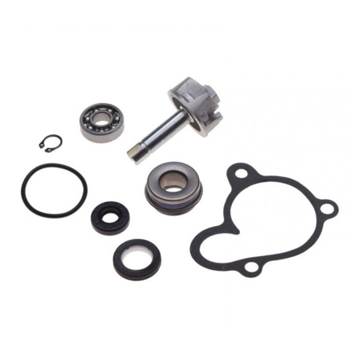 Kit pompa apa HONDA YAMAHA MAJESTY 250 00/03