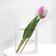 Декоративна ваза, Supertina, акрил, 19x14x4 см, прозрачна/черен