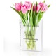 Декоративна ваза, Supertina, акрил, 19x14x4 см, прозрачна/черен