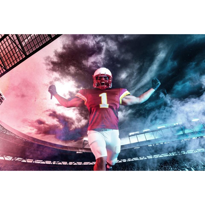 Tablou Canvas, Fotbalist Castigator - 40 x 30 cm