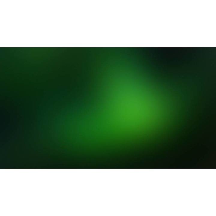 Tablou Canvas, Gradient Verde - 40 x 30 cm