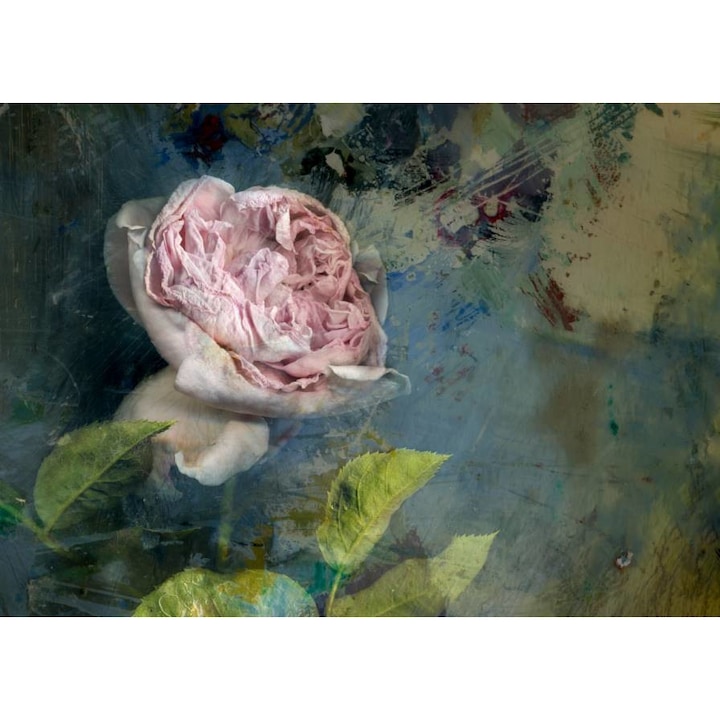 Tablou Canvas, Floare Roz- 100 X 70 cm