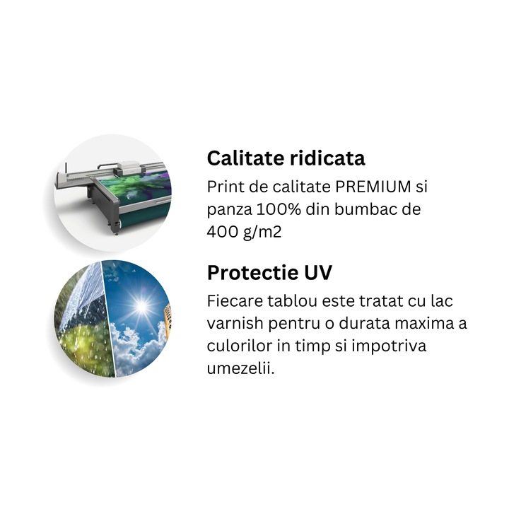 Картина на платно, LuxCanva® B1017, Уорън Бъфет, 35 X 50 CM, 100% памучно платно 400g/m2, дървена рамка
