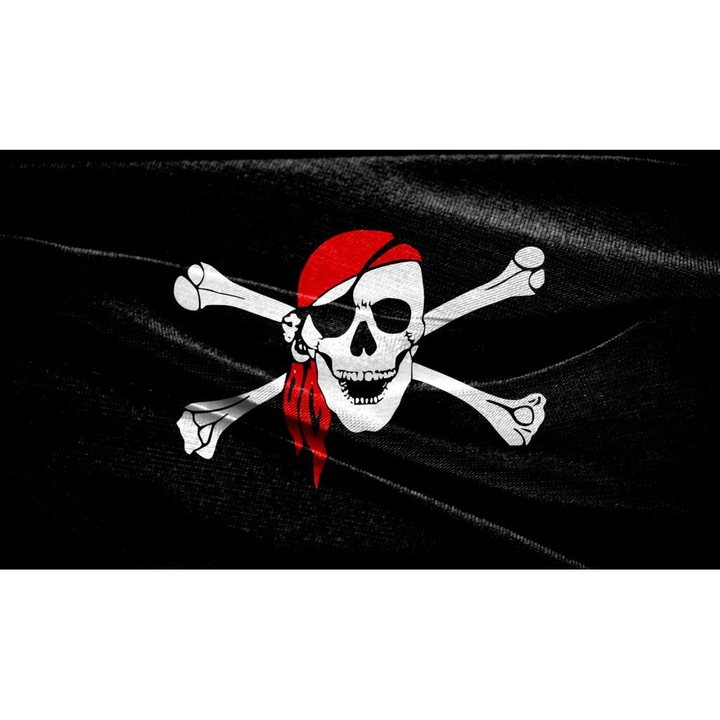 Tablou Canvas, Steagul Piratilor - 40 x 30 cm