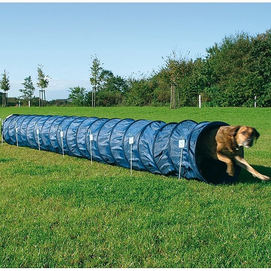 Tunel Trixie Dog Activity Agility Basic, 60 cm/5 m, Blue