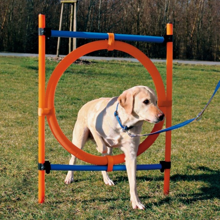 Играчка Trixie Dog Activity Agility Ring, Пластмаса, 115×3 см, 65 см, Оранжева/Синя
