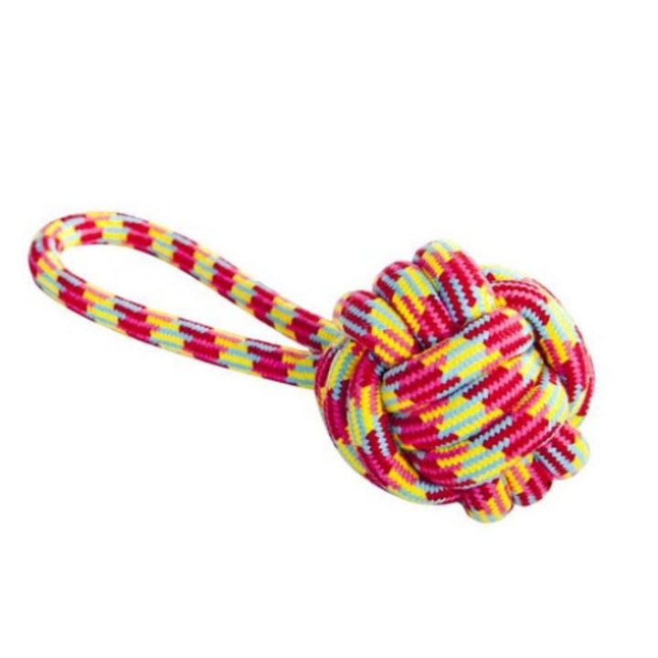 Jucarie pentru caini, Dingo, Parrot, multicolor, 27x9.5cm