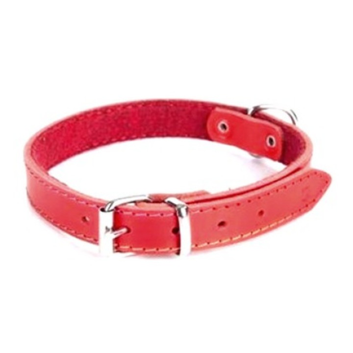 Zgarda Dingo, Classic, piele, 2.5x60cm, rosie