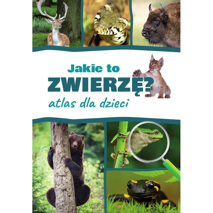 Jakie to zwierze? Atlas dla dzieci, SBM, Editie in poloneza
