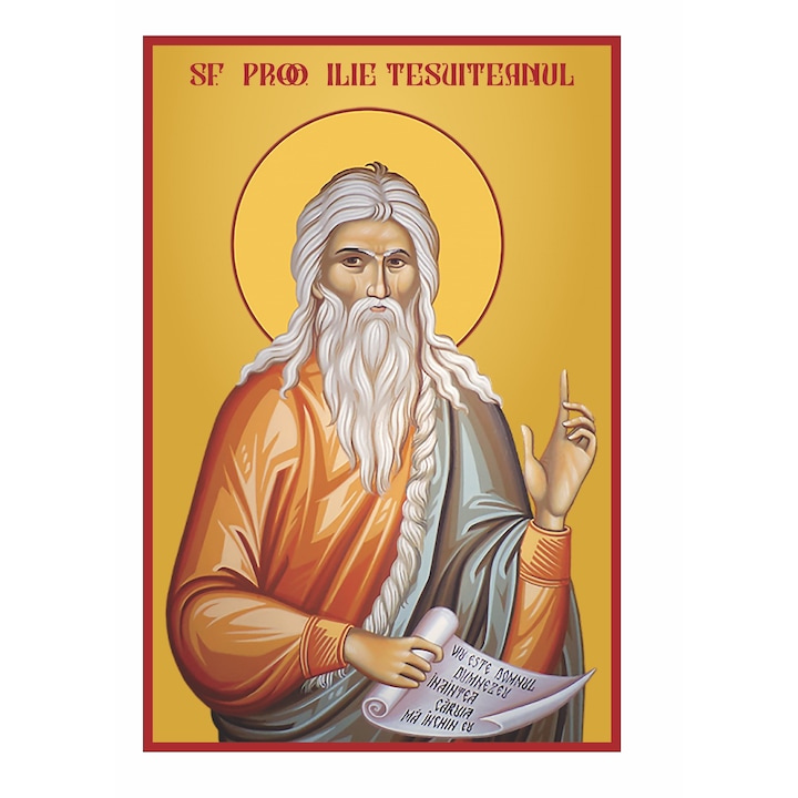 Icoana cu Sfantul Prooroc Ilie Tesviteanul, pe panza cu cadru de lemn, 75 x 50 cm