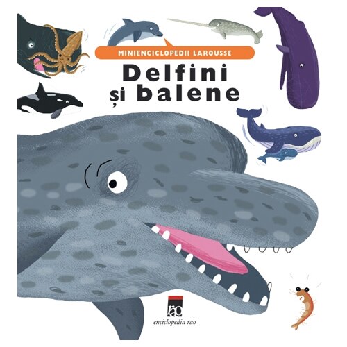 Delfini si balene - Minienciclopedii Larousse