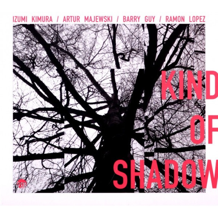 Izumi Kimura, Artur Majewski, Barry Guy, Ramon Lopez - Kind Of Shadow [CD]