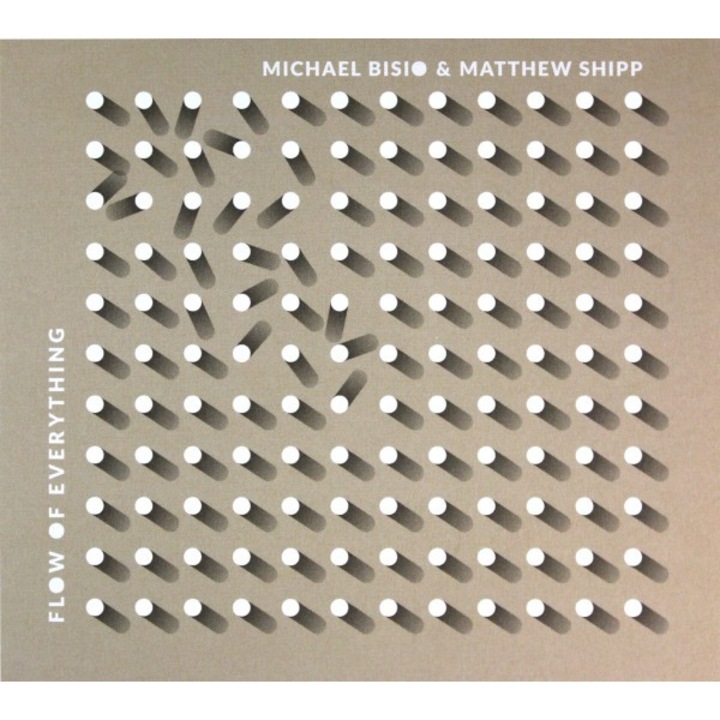 Michael Bisio & Matthew Shipp: Flow Of Everything [CD]
