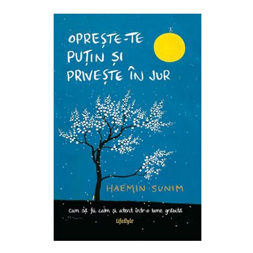 Opreste-te putin si priveste in Jur - Haemin Sunim