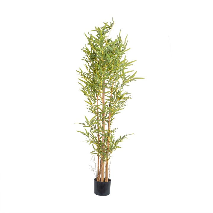 Bete de bambus in ghiveci, H-150cm / SL699