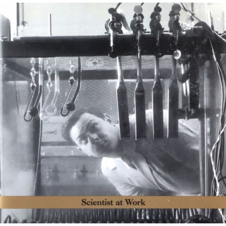 Frank London: Scientist at Work [CD]