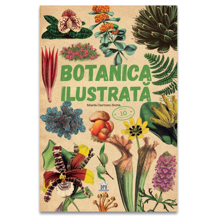 Botanica ilustrata, Maria Carmen Soria