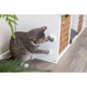 Jucarie Pentru Pisici, Trixie Minge Catnip Cu Suport, 5 cm, 42242