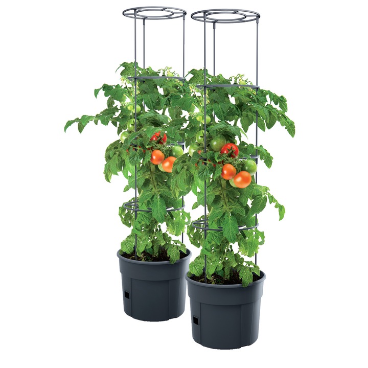 Set 2 ghivece cultivatoare rosii Prosperplast Antracit, jardiniere mari si robuste pentru gradina, balcon si terasa, recipiente rezistente UV, ideale pentru legume, plante aromatice, crestere optima, design modern